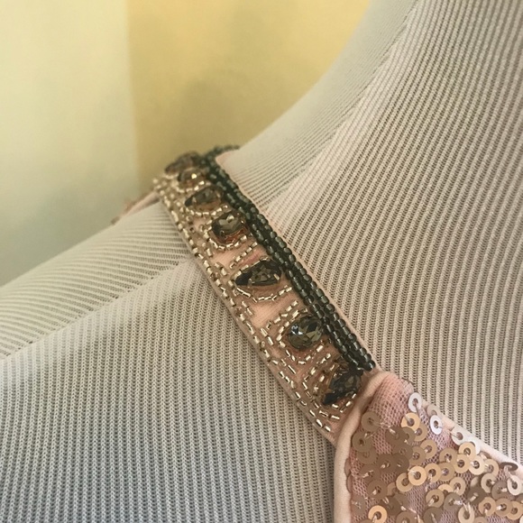 NWT Blush sequin dress by Belle Badgley Mischka - Picture 7 of 7